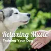 Dogs Jazz - Relaxing Music for Training Your Dog